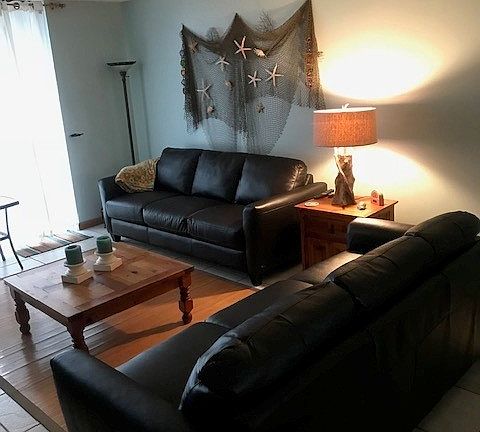Living Room with leather sofas