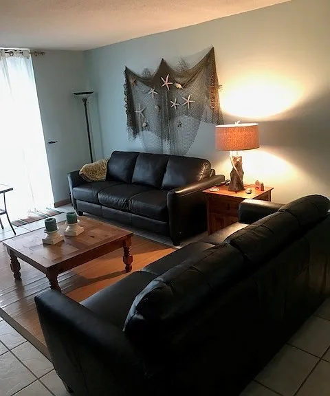 Living Room with leather sofas