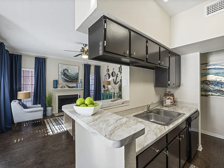 The Reston Apartments — Photo 7