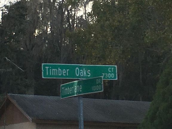 5th image of 10102 Timber Oaks Ct