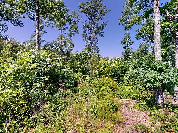 5th image of 820 Overlook Ln Lot 43