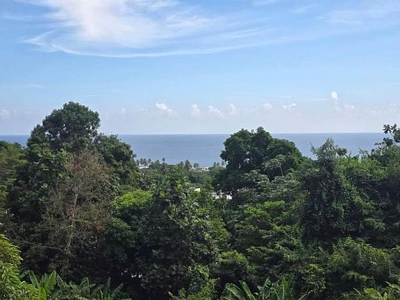 3rd image of 290 CALLE CEIBA