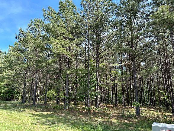 4th image of 250 Bear Trace Dr #Rb-200