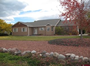 63110 Jordan Ct, Montrose, CO 81401