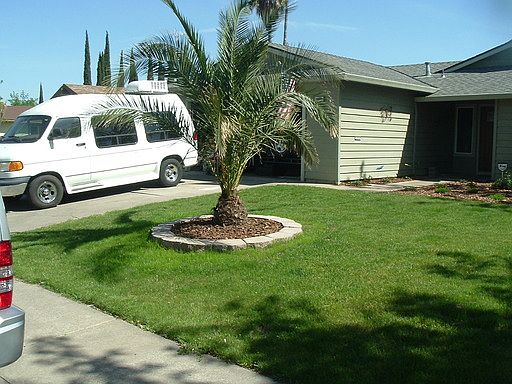 3rd image of 5400 Ygnacio Dr