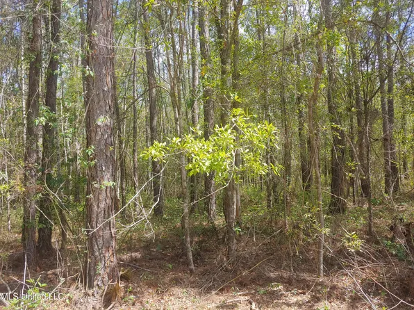 E Webster St Lot 54, Bay Saint Louis, MS 39520