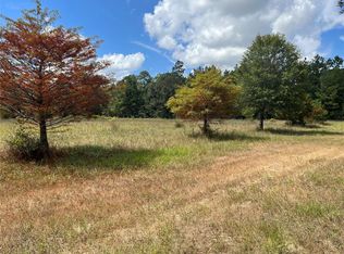 17960 Country Place Dr, Conroe, TX 77302