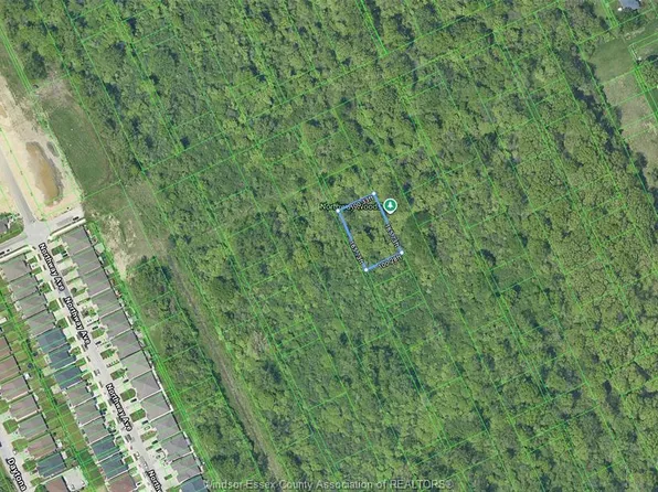 California Ave, Windsor, ON N9B 1L8