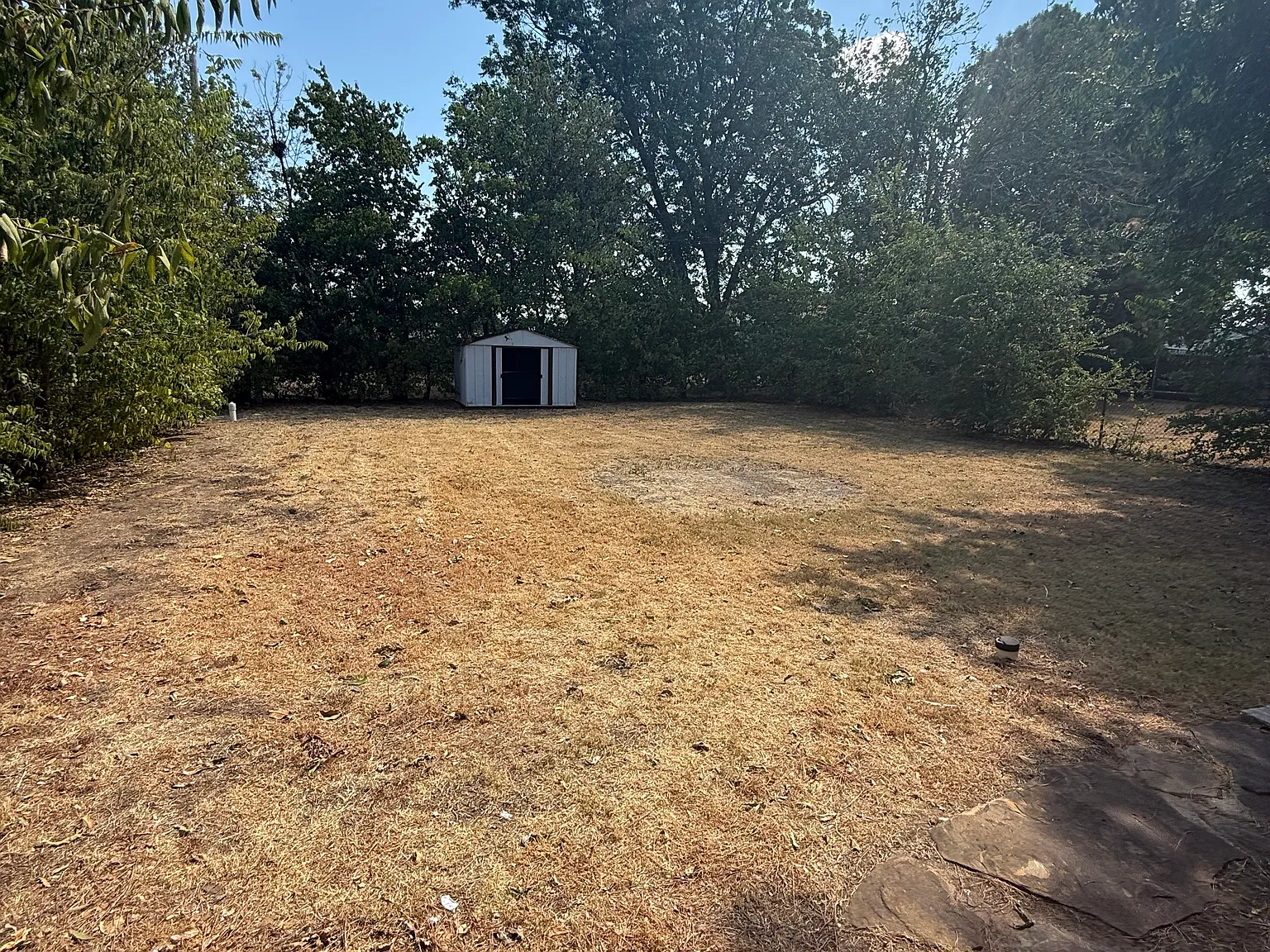2 bed, 808 sqft, $1,050 — Photo 2