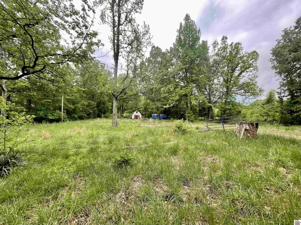 743 Belcher Rd, Tiline, KY 42083