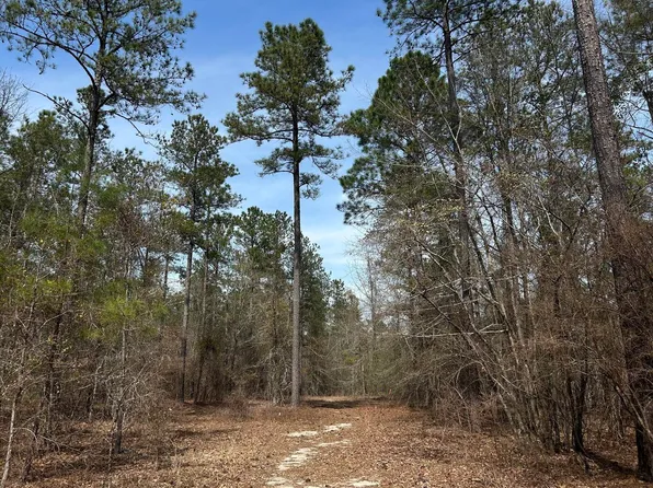 LOT 7 Cooks Pond Road, Windsor, SC