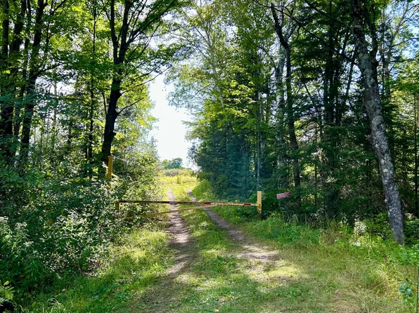 5136 Hanson Ln, Laona, WI 54541