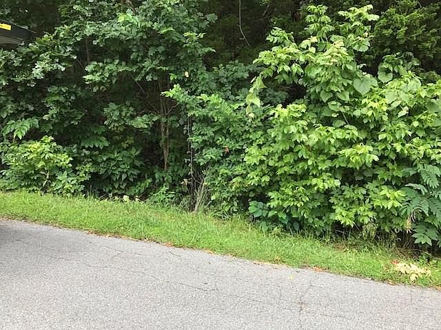2nd image of Walney Dr