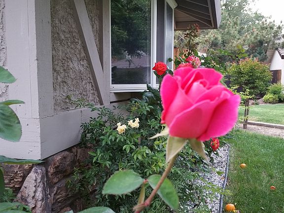 3rd image of 4005 Pamlee Ct