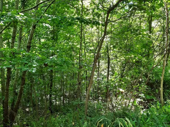 1774 Owl Creek Rd, Lucasville, OH 45648