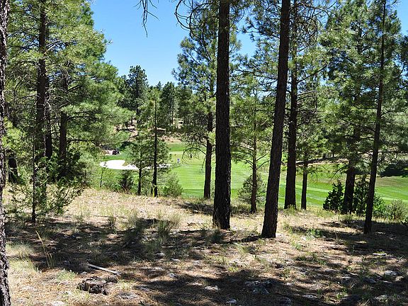 2nd image of 3160 S Solitaires Canyon Dr