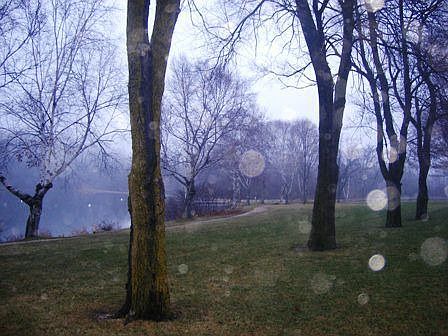 walking trails by ponds