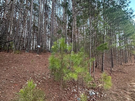 3rd image of 193 Windingwood Dr