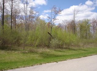 6701 Buck Run PARCEL 9, Spruce, MI 48762