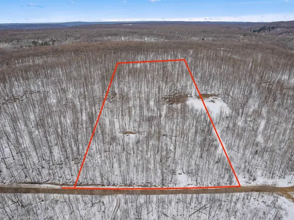 0 Valleyview Trl #30, Elmira, MI 49730