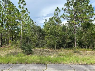 9882 N Sistine Ter, Citrus Springs, FL, 34433