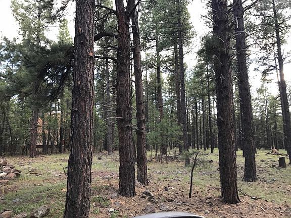 3rd image of 3312 E Pine Cone Dr