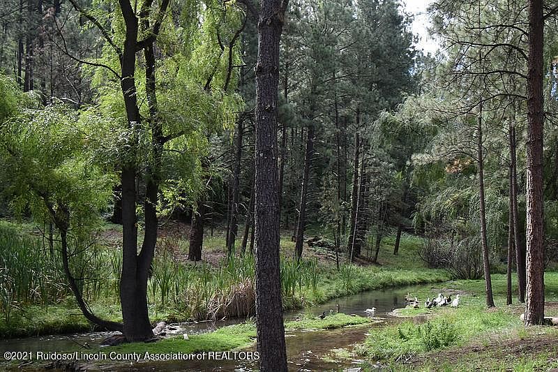 2nd image of 603 Carrizo Canyon Rd