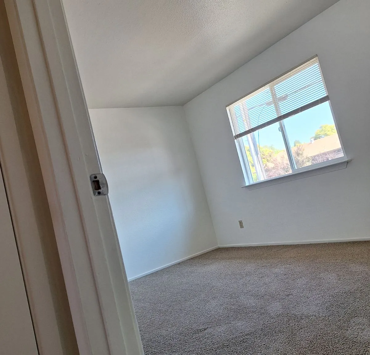 1 bed, 700 sqft, $1,275 — Photo 4