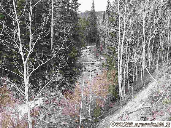 5th image of 10 Libby Creek Trl