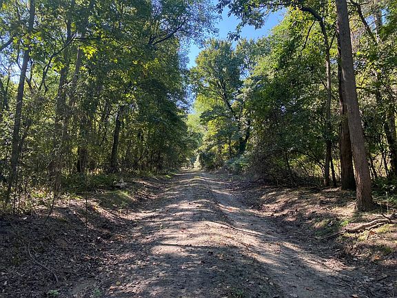 5th image of 17 Miller Rd