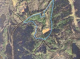 1439 George Smith Rd, Talbotton, GA 31827