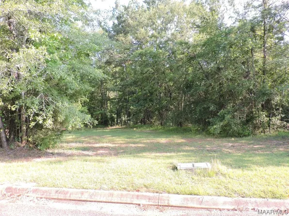 LOT 3B White Oak Way, Greenville, AL 36037