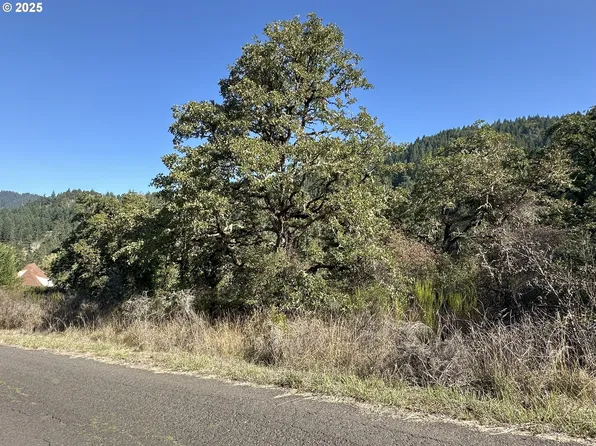 728 Cemetery Rd, Drain, OR 97435