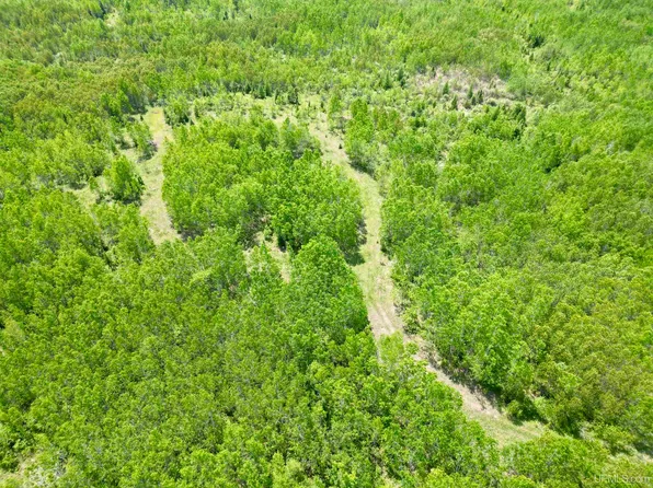 County Road 400, Bark River, MI 49807