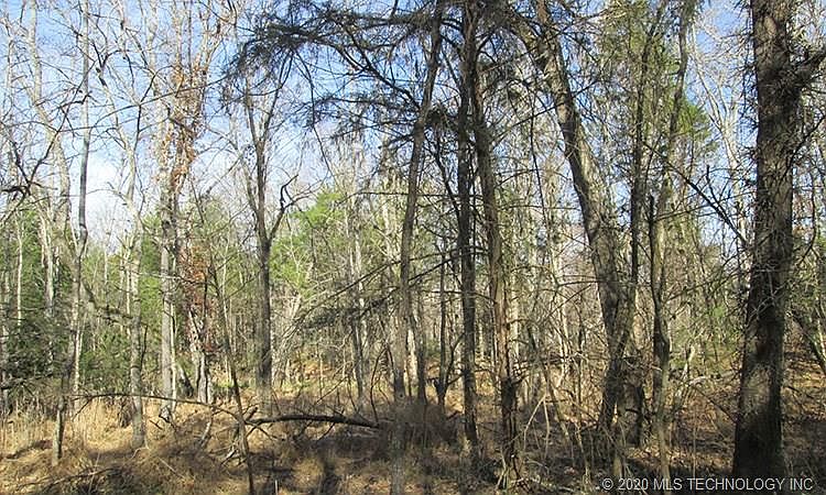 2nd image of 319 Bailey Blvd