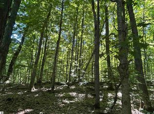 LOT 129 Troon S, Bellaire, MI 49615