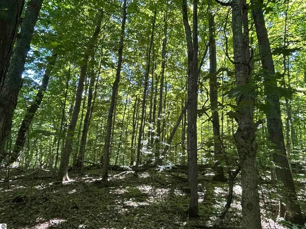 LOT 129 Troon S, Bellaire, MI 49615