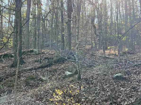 0 Majors Cv, Quitman, AR 72131