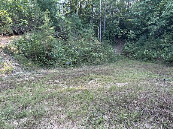 4th image of 204 Hughes Hollow Rd