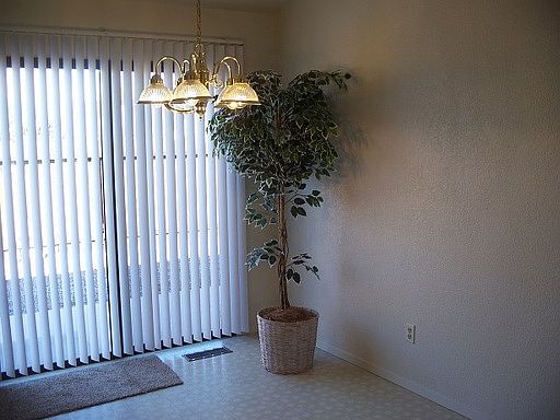 5th image of 510 Sean Dr