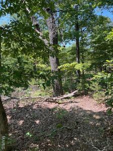 Minx Valley, Roach, MO, 65787