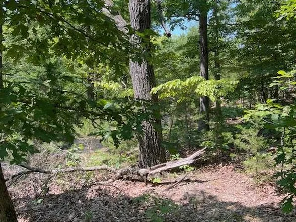 Minx Valley, Roach, MO 65787