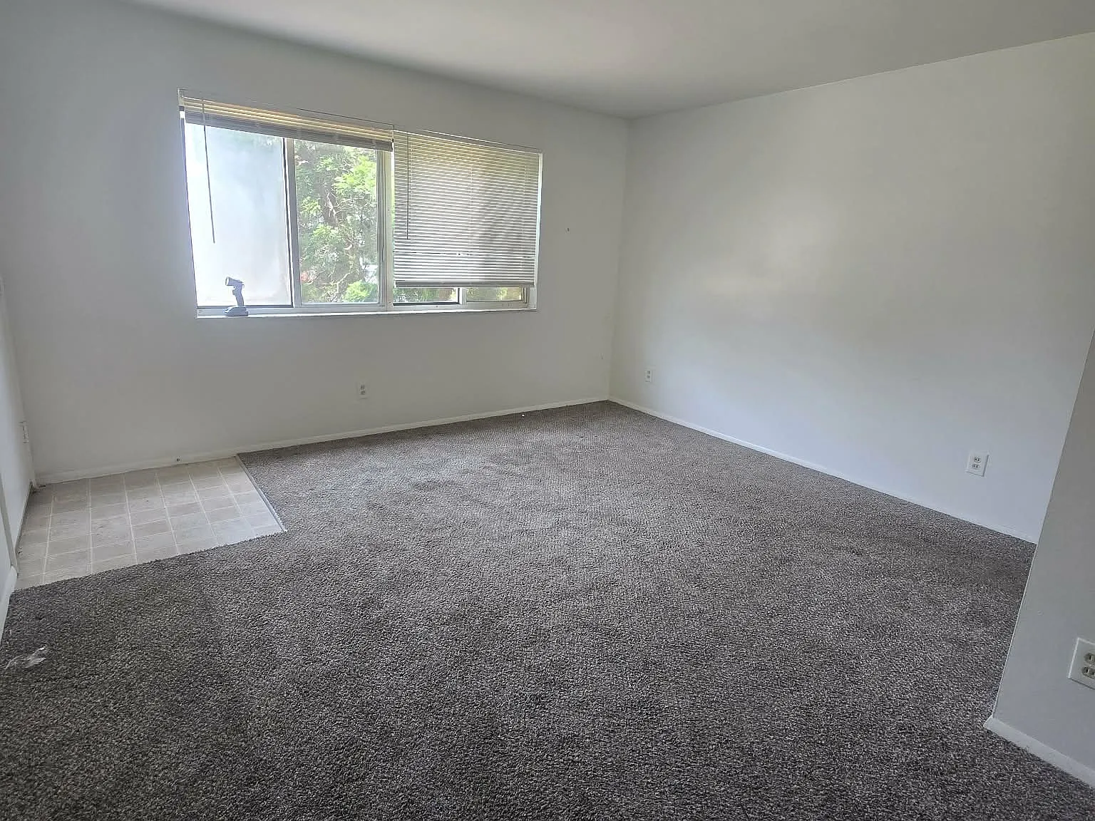 7709 Circle Drive — Photo 3