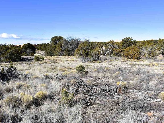 2nd image of 73 Paseo Del Coyote