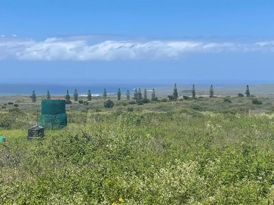 Kaana St, Maunaloa, HI, 96770