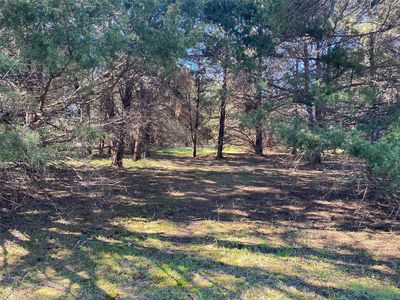 89 Sweetwater Trl, Kerens, TX, 75144