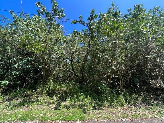 4th image of Niuhi St Lot 10