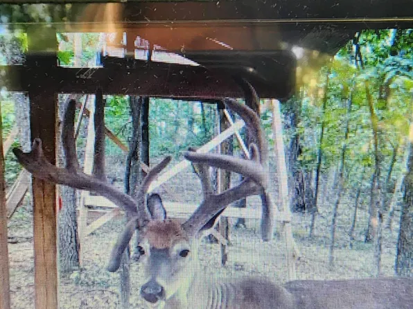 0 Sly Rd, Lucasville, OH 45648