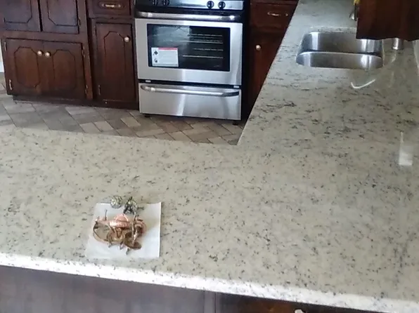 1007 Cornelia St, Greenville, TX 75401