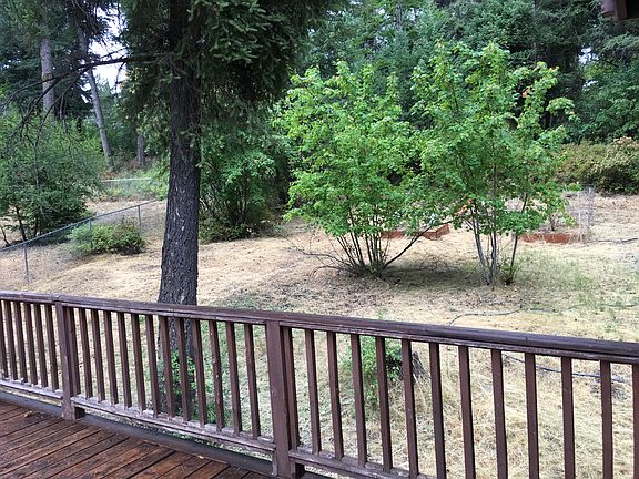 Secluded old-growth yard